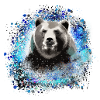 Bear, graffiti, blue, painting,blue