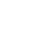 Life with labrador