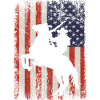 shirt western with american flag