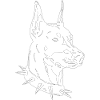 Doberman