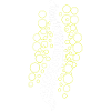Physiotherapy Physiotherapist Chiropractic Chiro