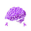 Epilepsy Brain