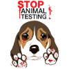 STOP ANIMAL TESTING