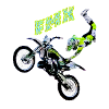 freestyle motocross