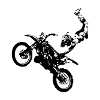 Motocross freestyle
