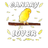uccello amico canarino giallo con piume