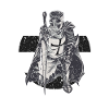 Cavaliere Bianco Bianco Tempio ordine armatura medievale