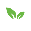 Végétaliens végétaliennes légumes Végétalien