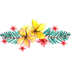 Blume