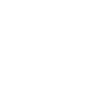 The boss
