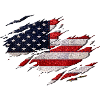 New Flag Usa