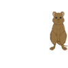 QUOKKAS AGAINST RIGHT