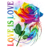 Miłość jest miłość Tęczowa Róża LGBT Świadomość