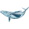 Save the ocean