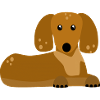 dachshund
