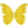 citrons papillon agrumes