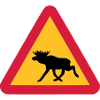 Elch