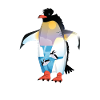 Pinguin Penguin Gift