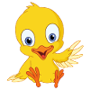 Cute chick