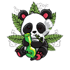 Cute Panda Smoking Weed