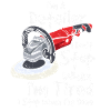 Auto Detailing Car Detailer