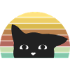 Kater - Katze