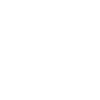 Evolution Truck Driver