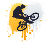 BmX Freestyle Teen Bike