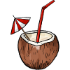 Coconut Holiday Outfit