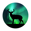 Northern Lights Deer