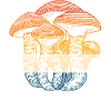 Retro Mushroom Mycology Wild Mushrooms
