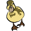 Ente Entchen Quak