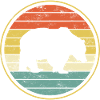 Bear Bears