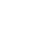 mechanic