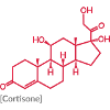 cortisone