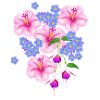 Flowers, Flower