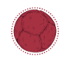 Boccia Ball Sport