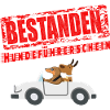 Hundeführerschein bestanden