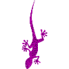 lizard