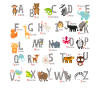 Enfants T-shirts introduction animal Alphabet