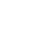 spiders