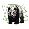 giant panda
