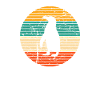 Penguin South Pole Penguin