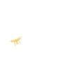 Eat Sleep Fly Repeat