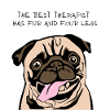 Therapist Pug