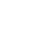 Cats Evolution