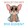 Willst du mit mir(Gassi) gehen?