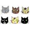 cats, cats, like Warrior