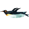 Flying Penguin