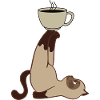 Cat Café Cat Coffee Yoga